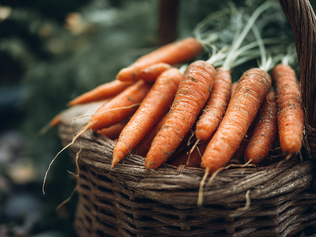 Growers Launch British Carrot Day to Celebrate the Nation’s Favourite Root