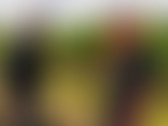 Berry Farm Undertakes Ground-breaking Fight Against Pests