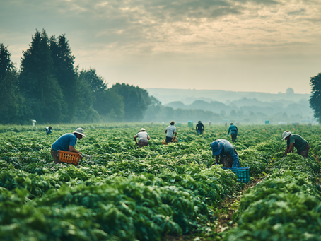 Growers Warn: 'Employer Pays' Principle Could Push Us Out of Business