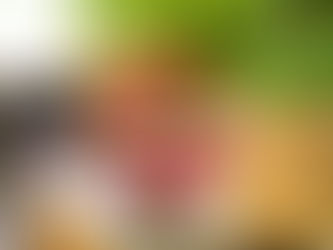 The Potential Impact of the Proposed Smoking Ban on the Hospitality Industry