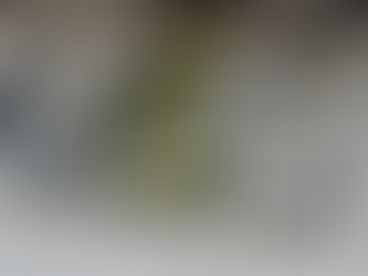 M&S Food Boss Demands Legal Target To Boost Britain’s Self-Sufficiency