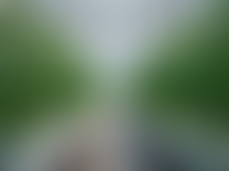 UK Industry Experts Call for National Strategy on Protected Horticulture to Boost Food Security