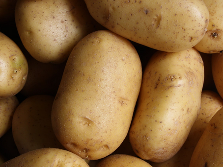 £1.8m Boost for UK Potato Sector: AHDB Transfers Residual Levy Funds to Fuel Industry Innovation