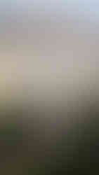 Genova Beer Festival 2025 - foto copyright