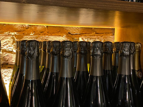 Madama Piola: il confine torinese dove nasce una nuova cucina di quartiere