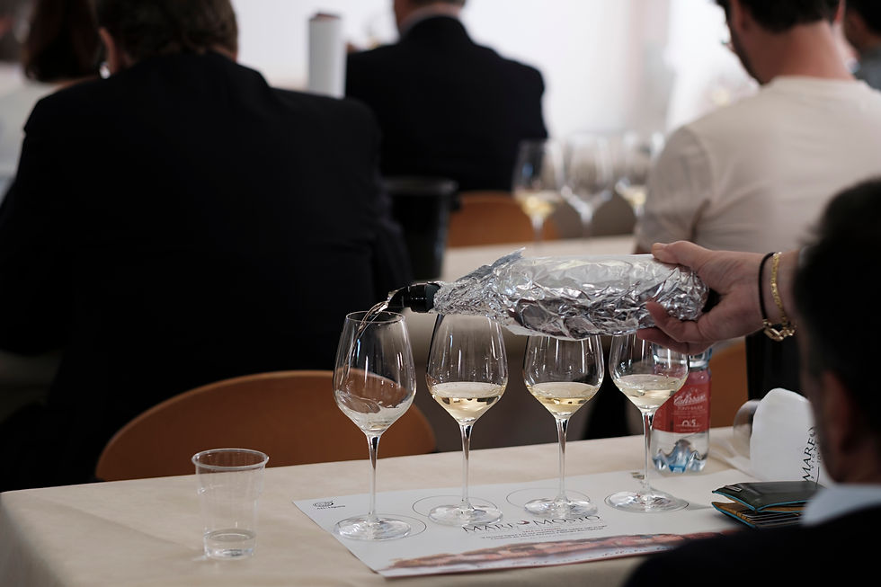 Mare e Mosto ed 2025