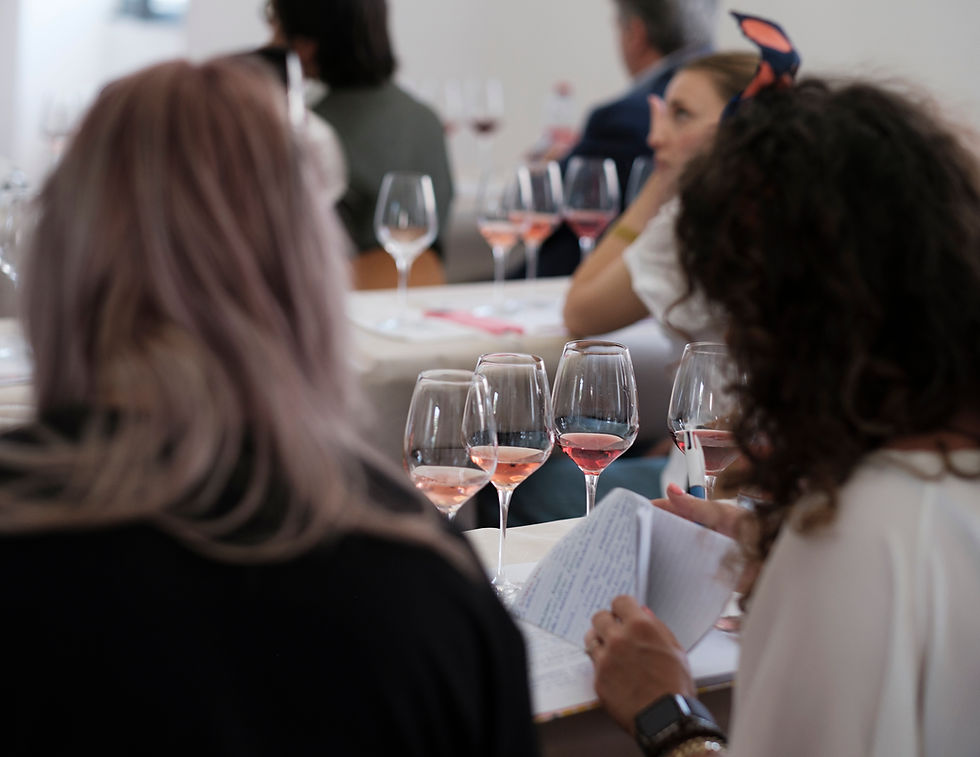 Mare e Mosto ed 2025