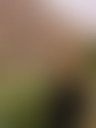 Le Clarisse di Apolline La Spezia