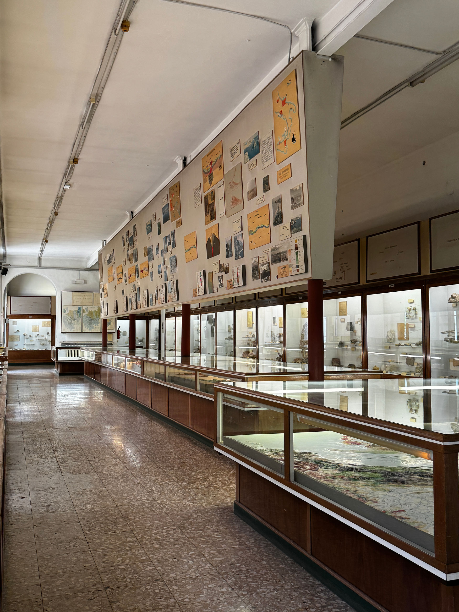 Museo di Storia Naturale di Verona