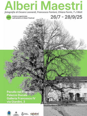 Mostra Alberi Maestri Pavullo 