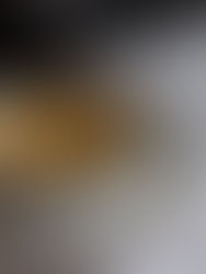 Casa Artusi Ph_Michela_Balboni