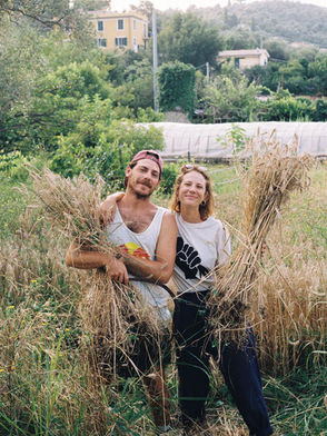 Credits Radical Farm 