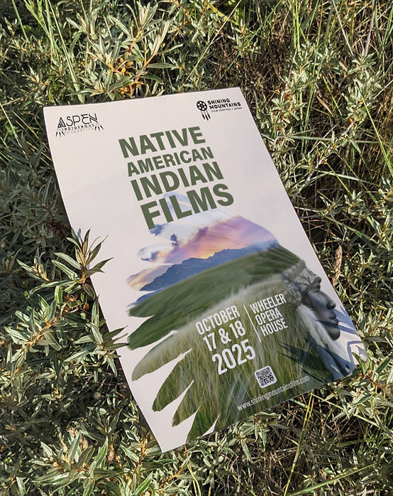 mockup indien_edited.jpg