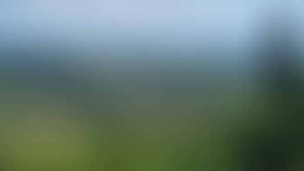 What a holiday in Italy and learning German have in common