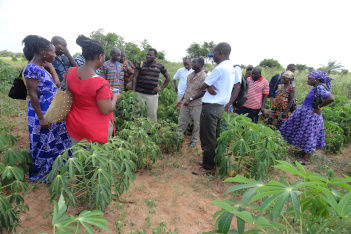 WAVE_CRI GHANA.jpg