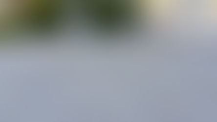 Warum brauchen Kinder einen Fahrradführerschein?