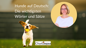 Symbolbild für Blogbeitrag: Hunde - Wörter und Sätze auf Deutsch