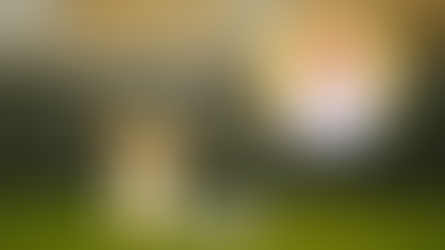 Symbolbild für Blogbeitrag: Hunde - Wörter und Sätze auf Deutsch