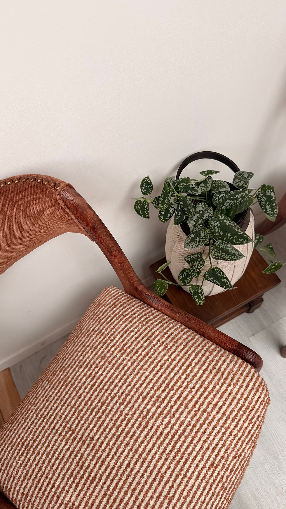 Miniature : Lot de 2 chaises inspiration baumann.
