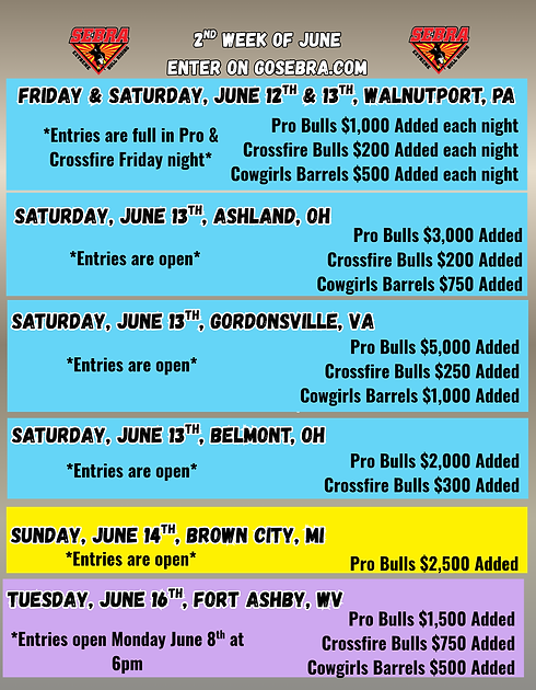 Entry Info Flyer second week June.png