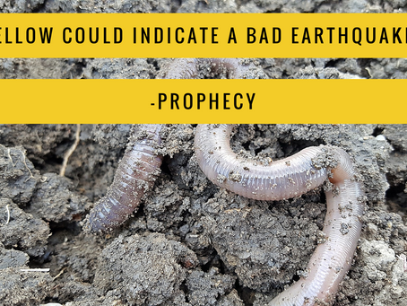 Yellow Earthworms Rise To The Surface - Prophecy