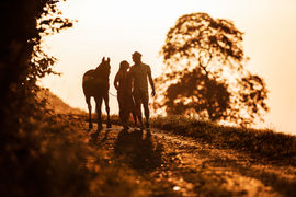 SusanneWolfPhotos-Tierfotografie-Pferdefotografie-Hundefotografie-Schweiz-Bern-Langenthal-Kleindietwil