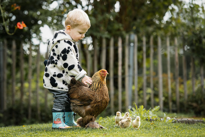 Susanne Wolf Photos Kinderfotografie Tierfotografie Pferdefotografie Hundefotografie in der Schweiz Region Bern