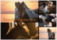 preview.jpeg