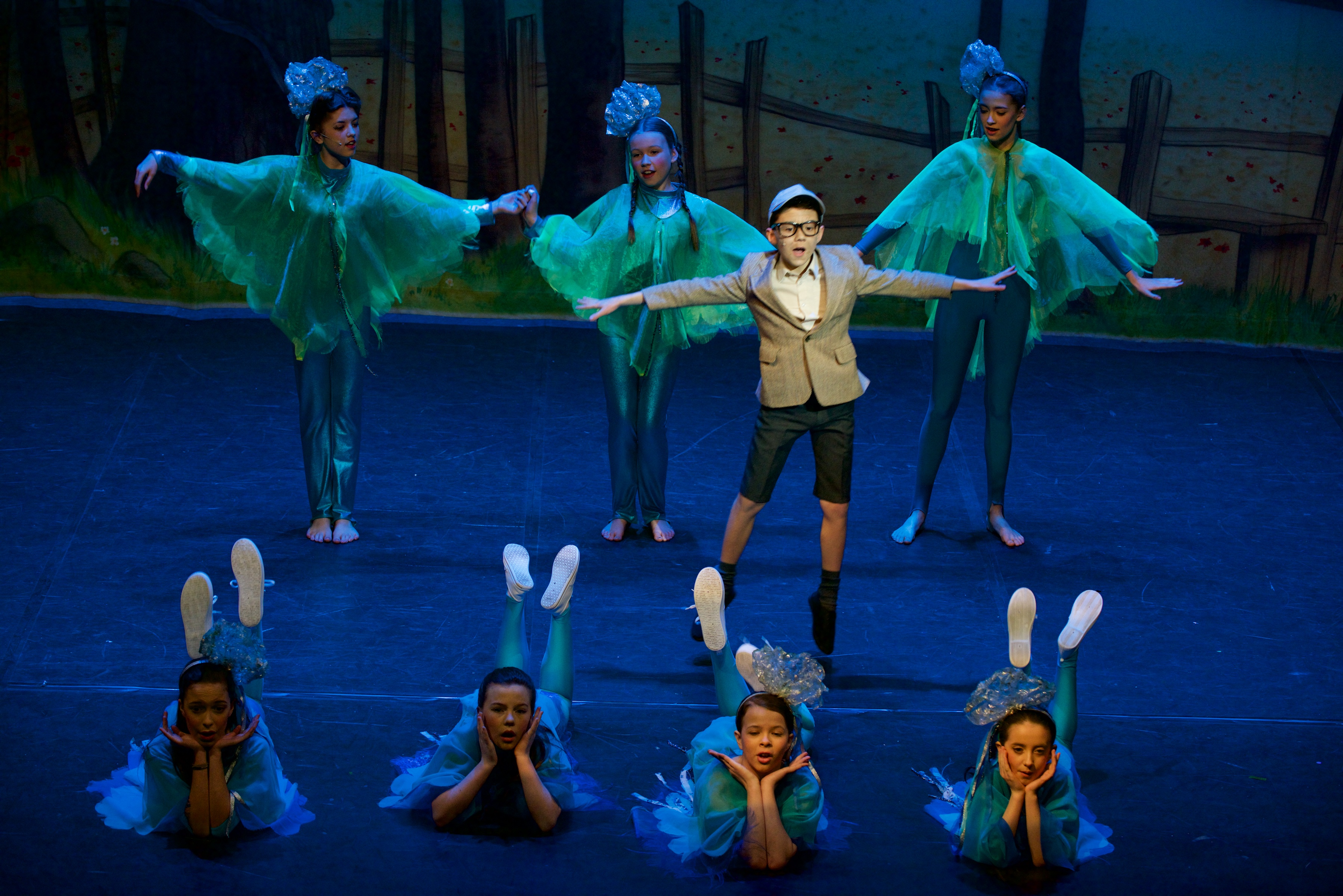 Honk - 2014