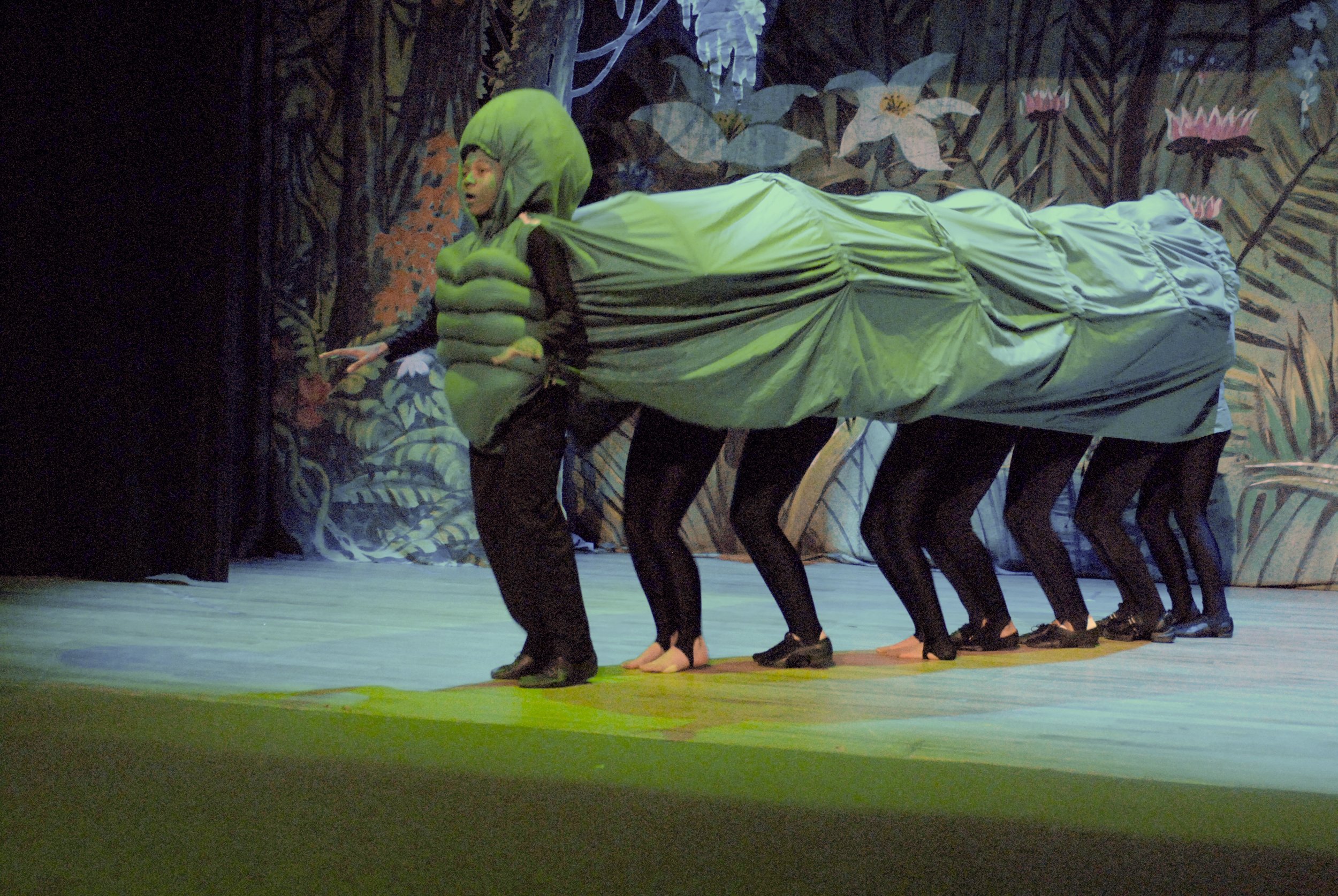 Alice in Wonderland - 2008