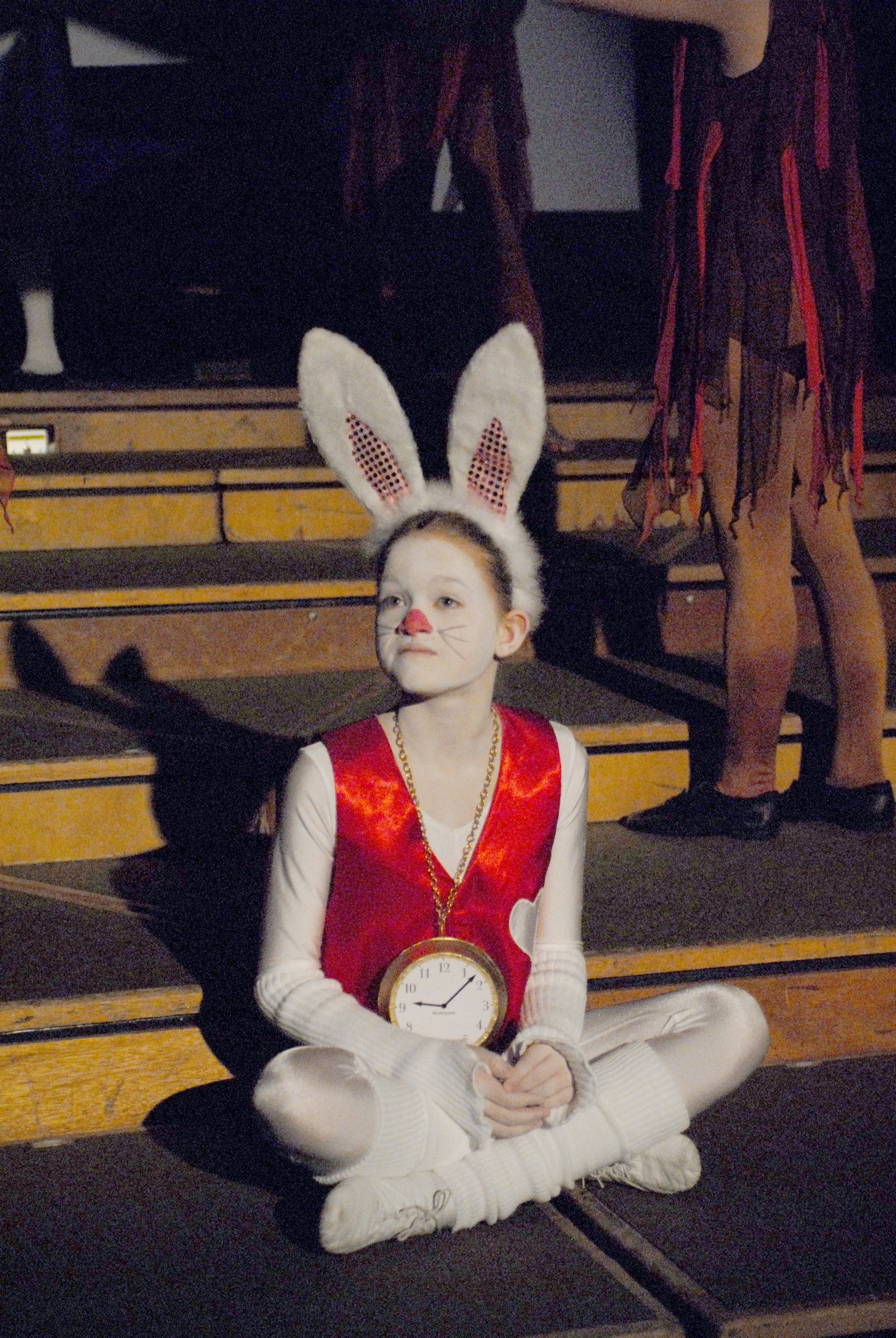 Alice in Wonderland - 2008