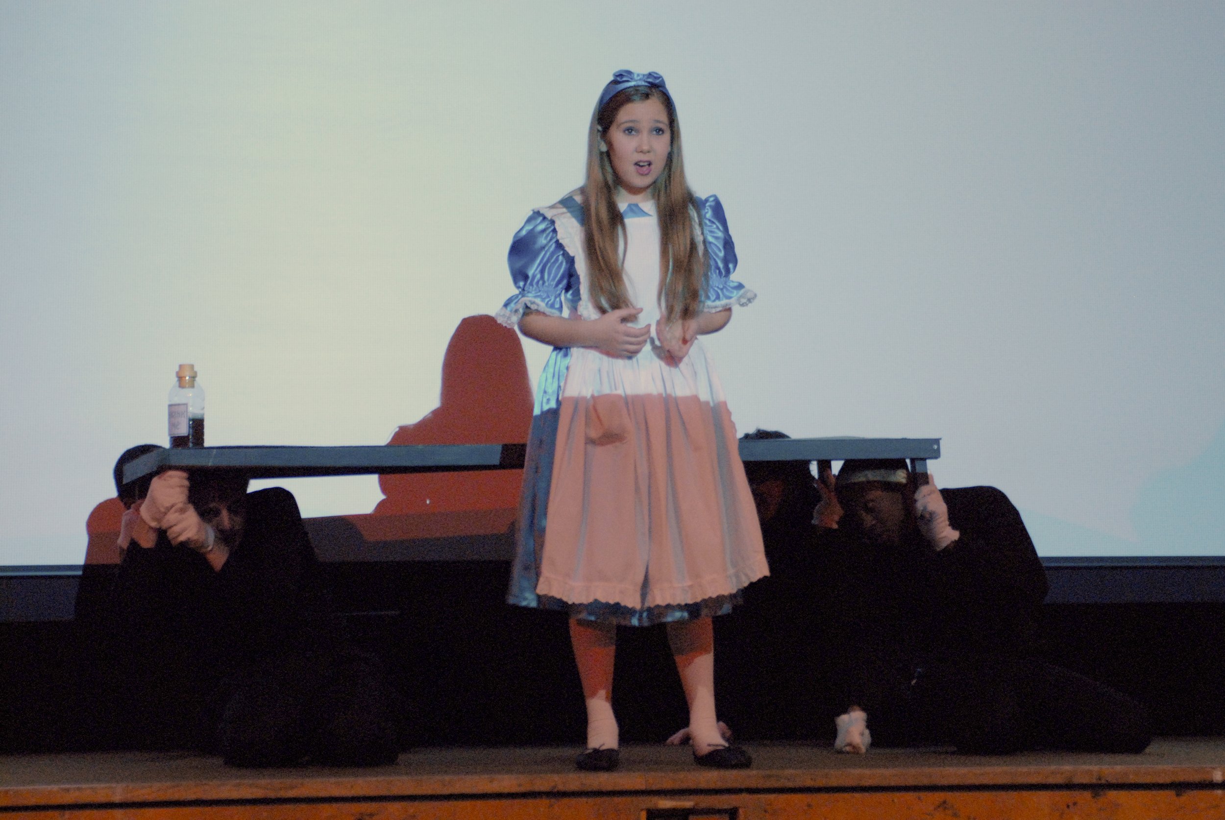 Alice in Wonderland - 2008