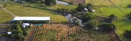 Drone Shot of Ros Cole Farms of Palawan