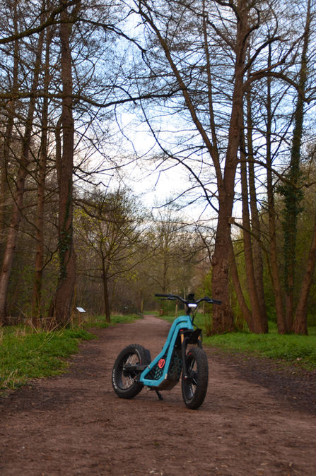 Trottinette électrique la baladeuse de rool