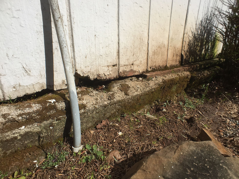 Photo Mar 12, 11 55 18 AM