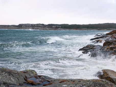 Kosterhavet - et helt landskap under havoverflaten