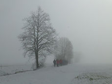 P1070027.jpg