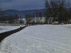 P1070038.jpg