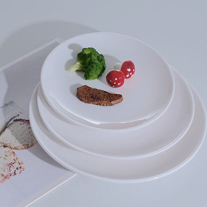 Melamine Dinner Plates for Restaurants and Home