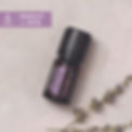 Lavender 5 mL-Essential Oils-Promo-Social Media-CA-French-Instagram-Post-Square-04.jpg