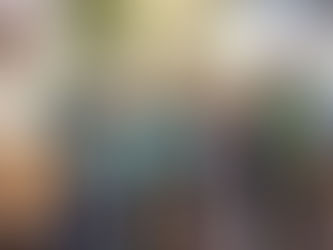 Ferro Puro Mineração recebe certificado "Amigos do Meio Ambiente"