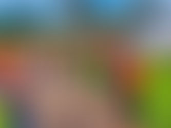 Caminhada de segurança