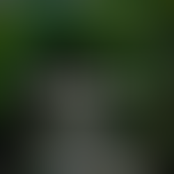 Episode 33- Make Badge