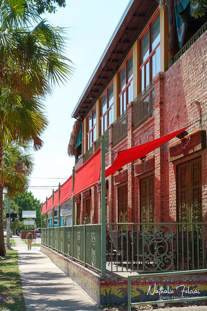 Houston - Montrose 11