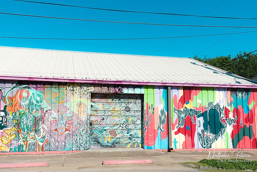 Houston - Montrose 1