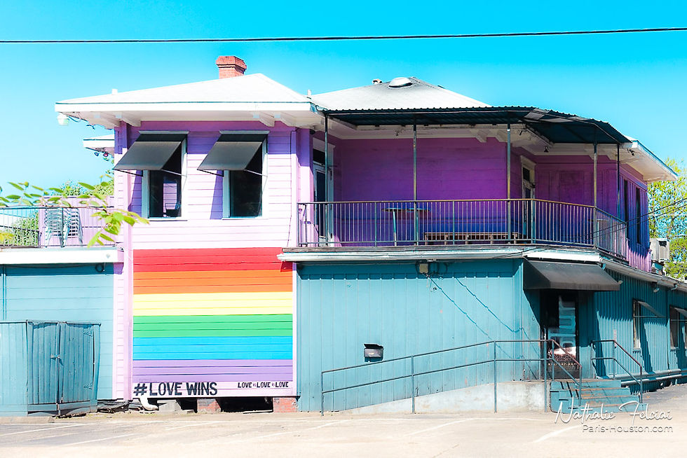 Houston - Montrose 3