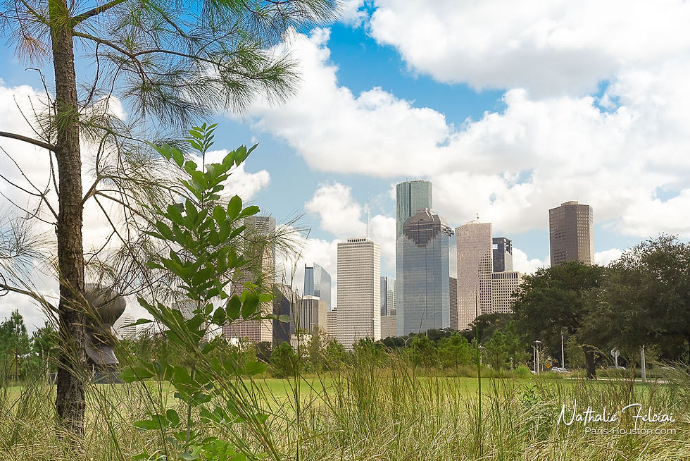 Houston - Skylines 8