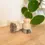 Thumbnail: Re:Plenish - Pot Scrubber Brush