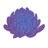 12.png