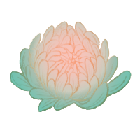 04.png
